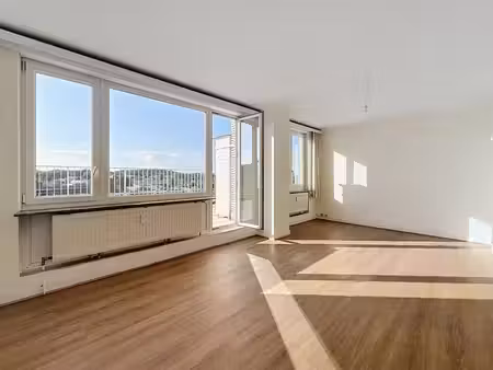 penthouse 1 chambre avec magnifique terrasse