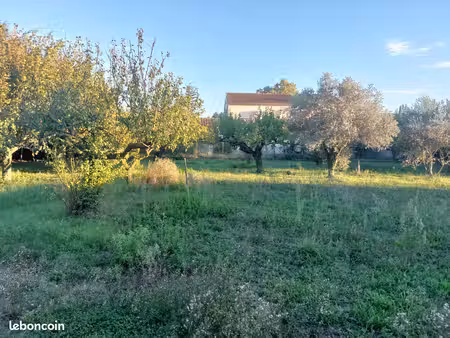 terrain maison
