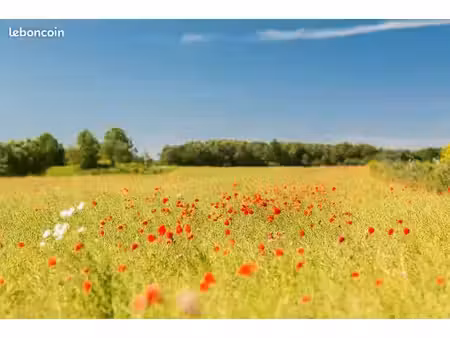 terrain 800 m² barbezieux saint hilaire