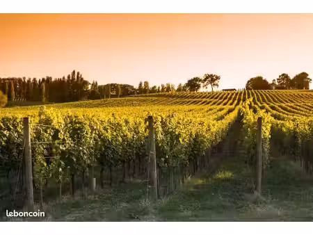 terrain 1 040 m² bassac