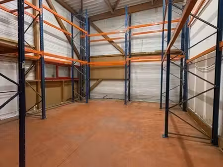 location commerce portet-sur-garonne 31120 1230m²