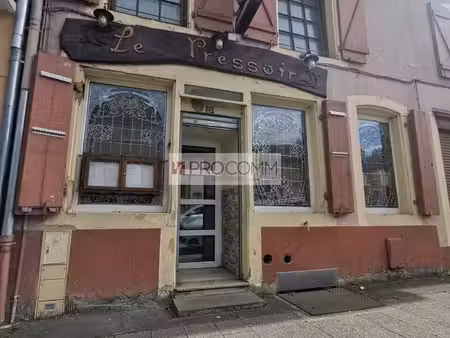 vente commerce thionville 57100 255m²
