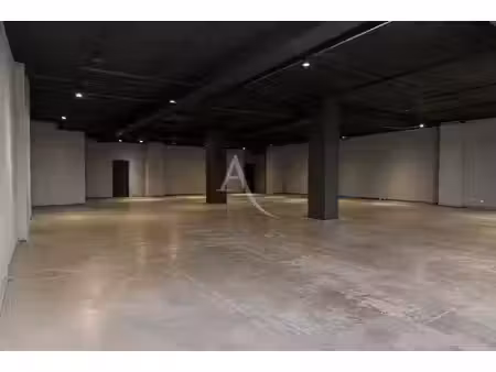 toulouse centre ville  local d’activité 250m2