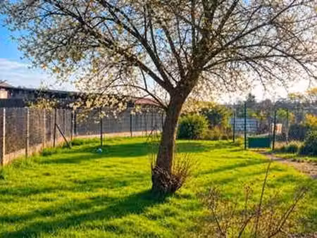 vente maison à solre-le-château (59740) : à vendre / 95m² solre-le-château