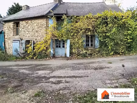 longère de caractère à rénover sur plus de 4 500 m² de terrain