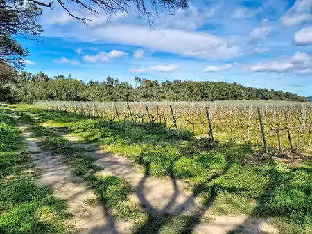 domaine viticole d'exception au cœur du minervois