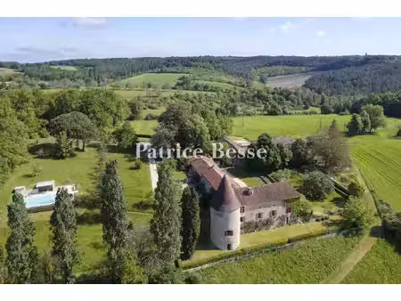 en dordogne  au nord-ouest de périgueux  divisé en quatre logements  un château isolé des.