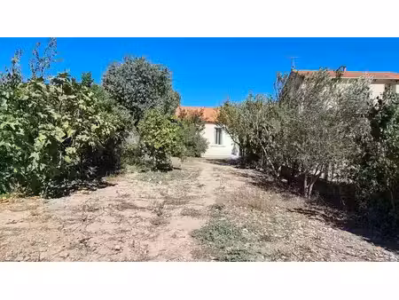 vente d'un maison à rénover en totalité de 60m2 sur un jardin de 450m2