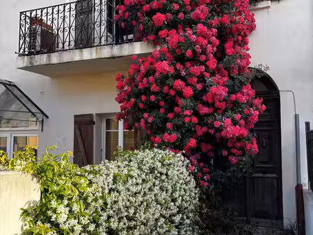 f3 rez de jardin cauro