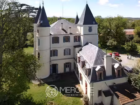 chateau xixe - piscine - dependances - 3 4ha