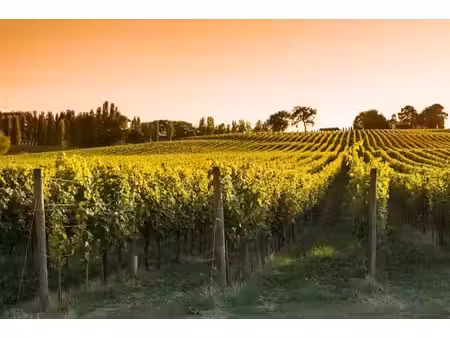 vente terrain 1040 m² à bassac (16120)  25 000 €