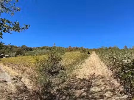 vente terrain 47287 m² à quincié-en-beaujolais (69430)  13 000 €