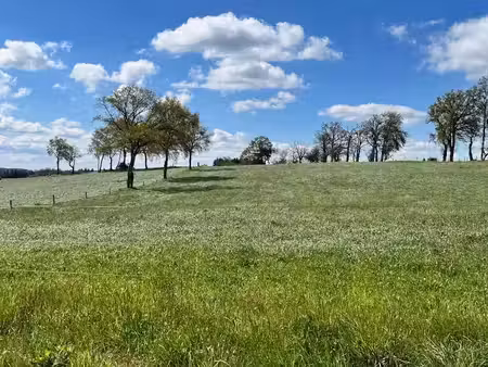 vente terrain 1767 m² à marcolès (15220)  21 200 €