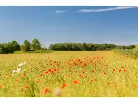 vente terrain 800 m² à barbezieux-saint-hilaire (16300)  29 000 €