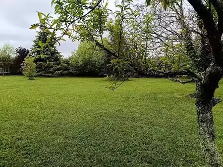 vente terrain à batir 2500 m² à issigeac (24560)  45 000 €