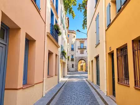 appartement meublé rénové 1 chambre  séjour lumineux  à 100 m du centre de céret
