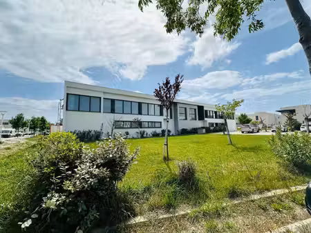 immobilier professionnel à vendre perpignan