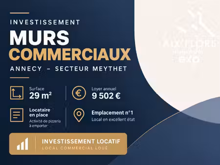 immobilier professionnel à vendre annecy