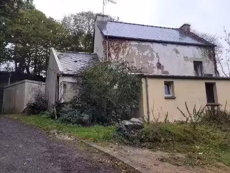 amoureux de la nature  maison en pierre entre forêt et riviè