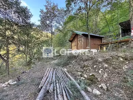 terrain peille 6 555 m2