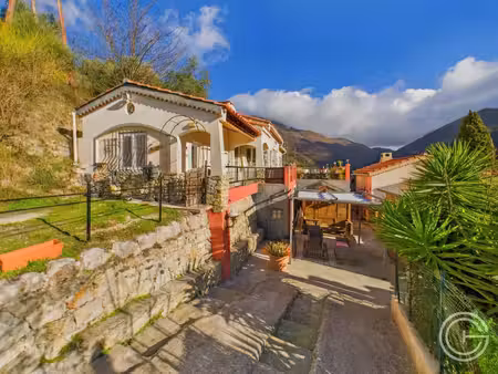 propriété avec deux maisons et studio – 7 500 m² de terrain - route de l'escarène -...