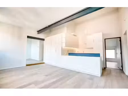 ruim 3 slaapkamer appartement in centrum brussel