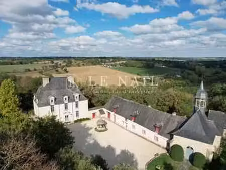 vente demeure d'exception à châteaubourg (35220) : à vendre / 429m² châteaubourg