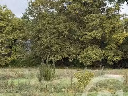 vente terrain à ploeren (56880) : à vendre / 455m² ploeren
