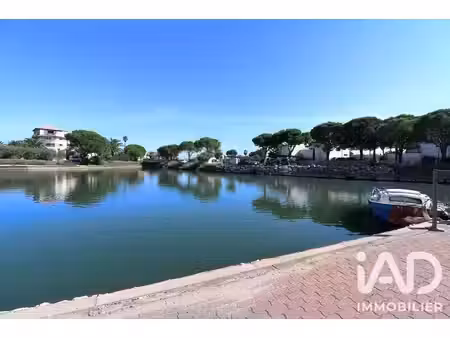 appartement à saint-cyprien (66750)