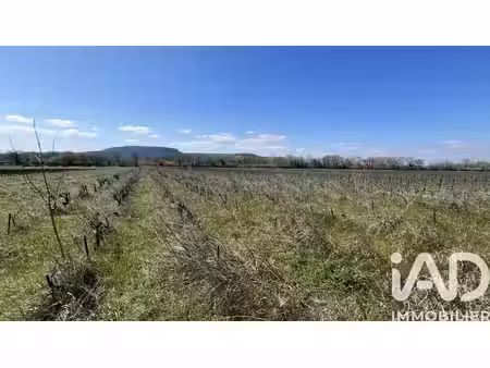 terrain agricole à codolet (30200)