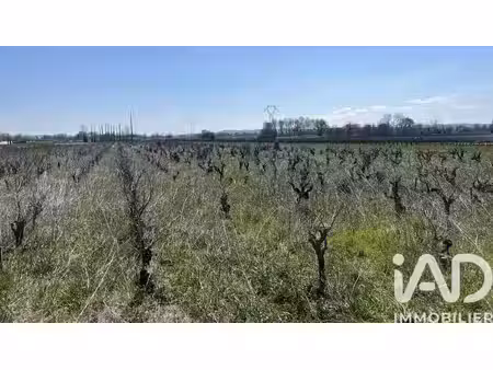 terrain agricole à codolet (30200)