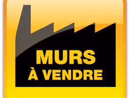 murs commerciaux a vendre