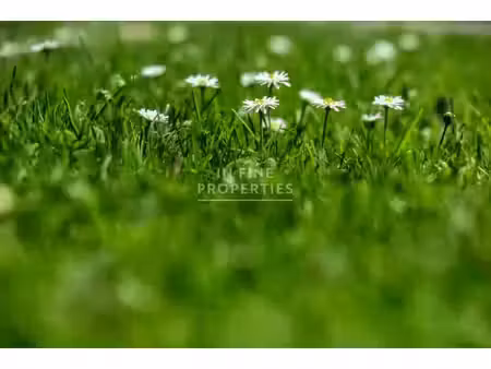achat terrain 3 700m² cadarsac 33750