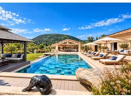 sisteron - un domaine : deux maisons - 2 piscines - 9 000 m2 de terrain