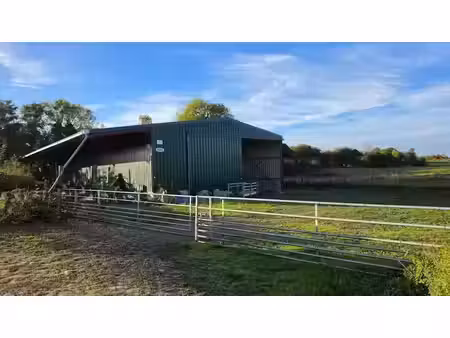 vente locaux professionnels à brutelles (80230)  109 000 €