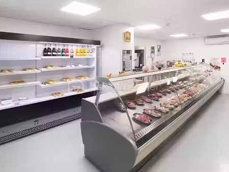 vente locaux professionnels à triguères (45220)  75 000 €