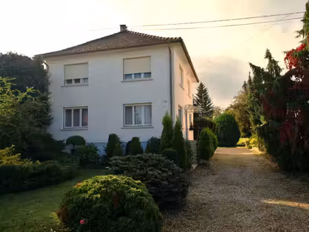 maison avec grand terrain