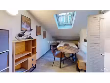 studio meublé - 33  rue louis pasteur  69007  lyon  france