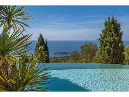 achat : maison (06360)