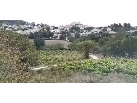 parcelles agricoles murviel les béziers