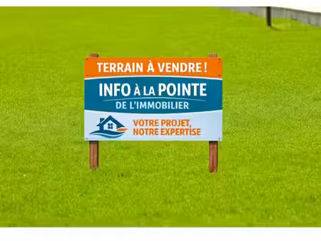 terrain constructible