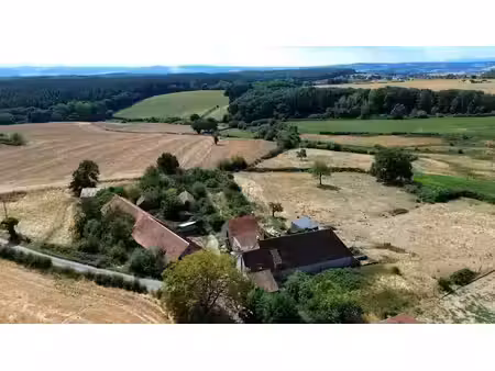 vente ferme 4 pièces 115 m² à lalizolle (03450)  174 000 €