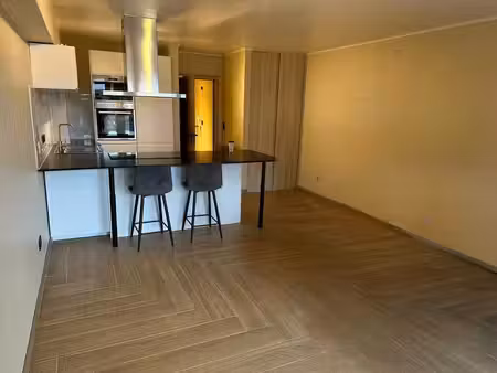 studio lumineux avec cuisine ouverte moderne