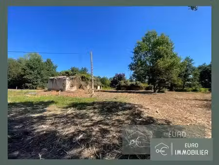 ruine a renover-5023-destinee - gironde 33 - nouvelle aquitaine