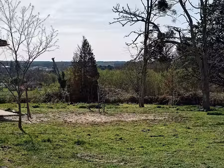 terrain à bâtir à pompéjac (33730)