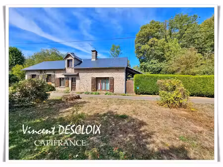 maison à vendre 6 pièces alligny en morvan (58230) terrain 12 200m²
