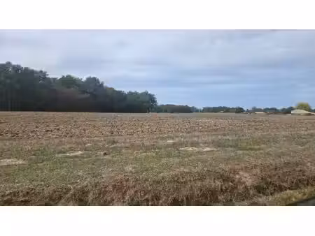 terrain à bâtir à reignac (33860)