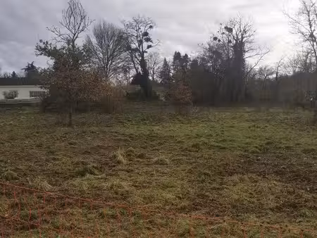 terrain à bâtir à noaillan (33730)