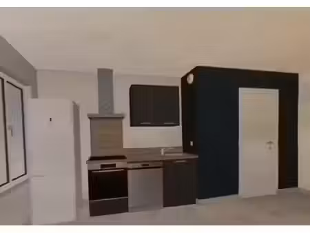 location appartement 2 pièces 45 m² à lyon 3 (69003)