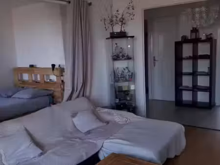 location appartement 3 pièces 55 m² à villeurbanne (69100)